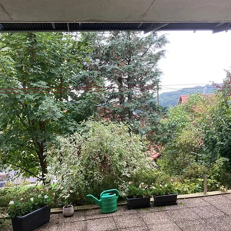 Apartmán Lichtdurchflutete Sankt Johann (Baden-Wurttemberg)